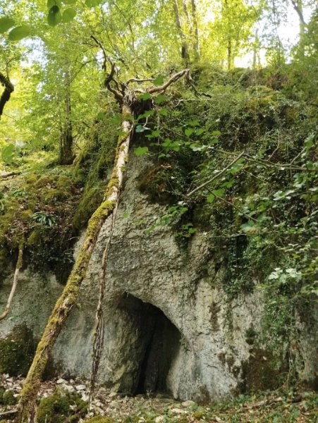 Val Suzon - grotte de Grande Combe numéro 2 - entrée cavité photo 1, Aurélien Bloch.jpg
Vue distante.
Fichier manquant